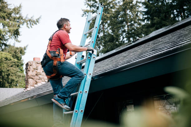 Best Emergency Roof Repair Services  in Glespie, IL